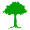 Advanced Tree Surgeon St.Annes – Advanced Tree Surgeon St.Annes logo